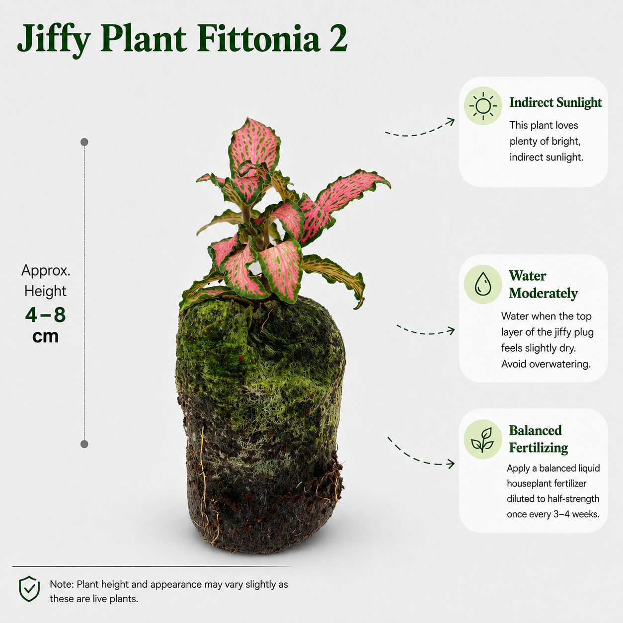 The Plantor