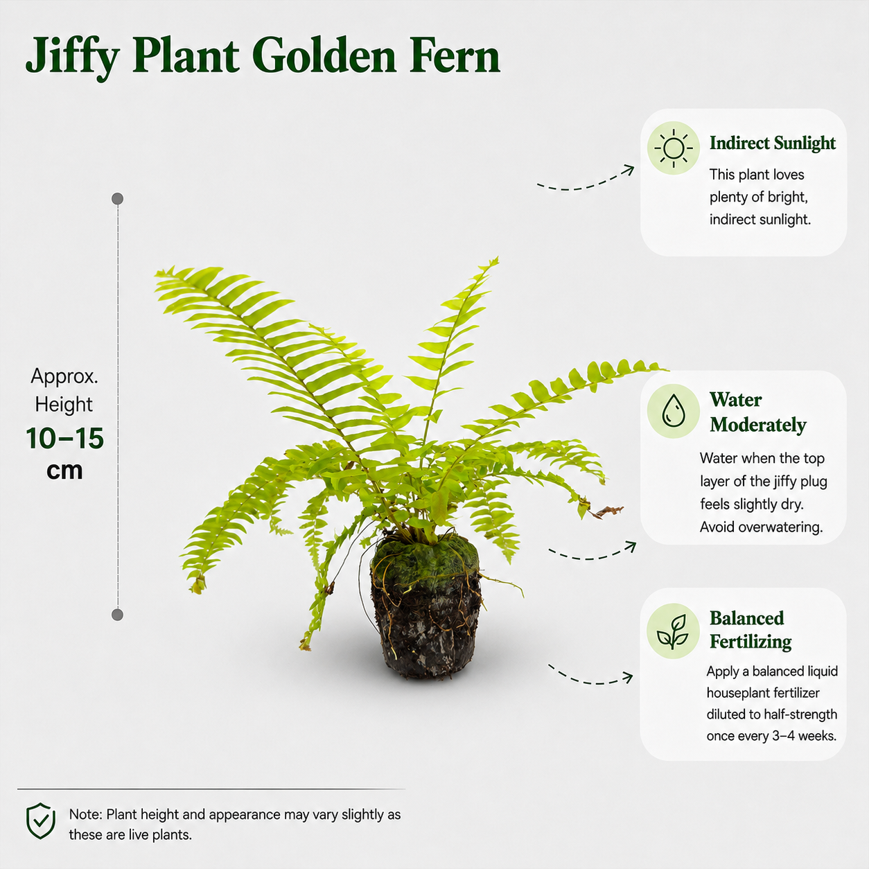 The Plantor