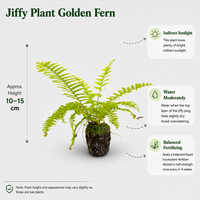 The Plantor