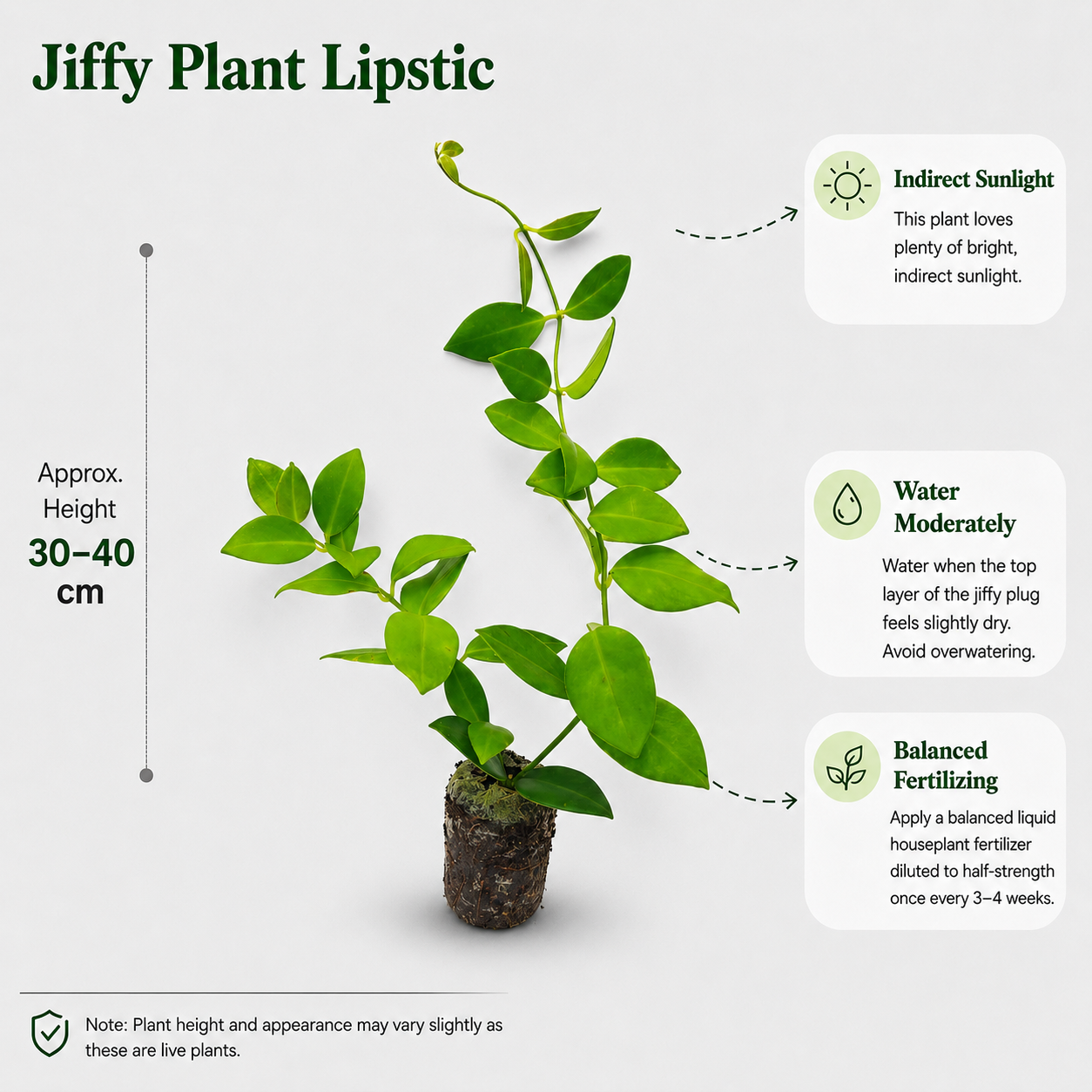 The Plantor