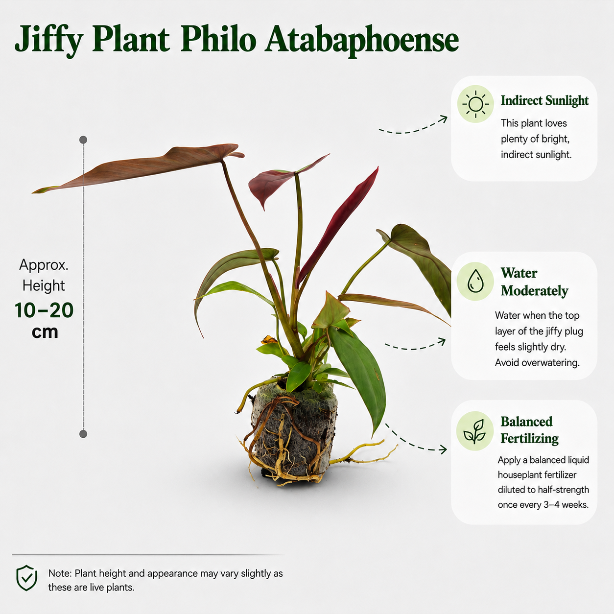 The Plantor