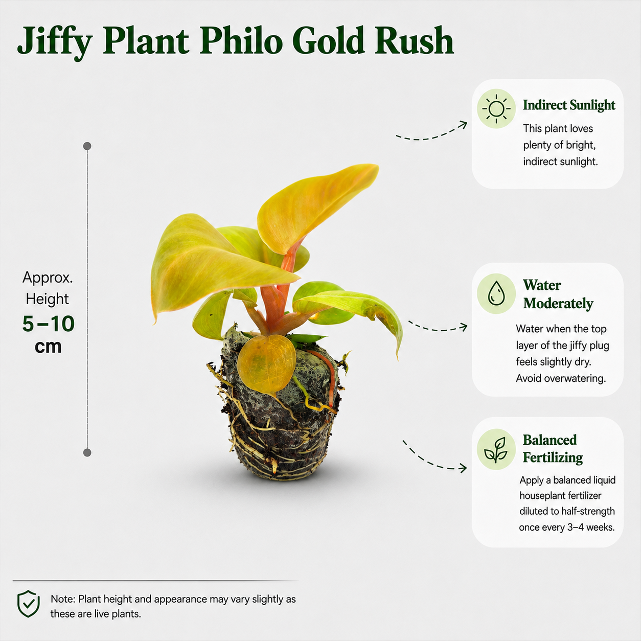 The Plantor