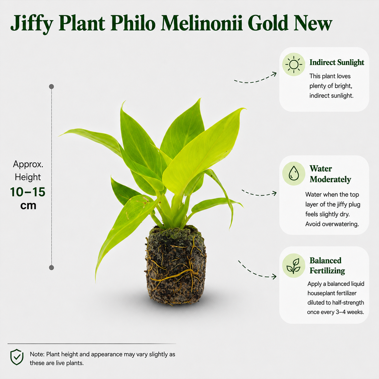 The Plantor
