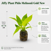 The Plantor