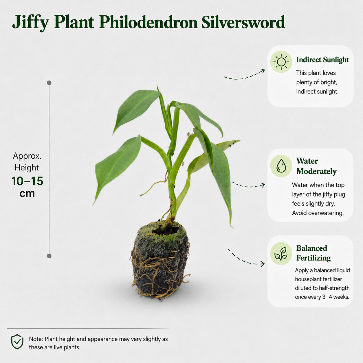 The Plantor