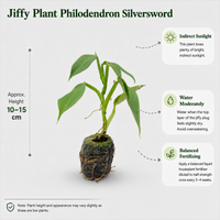 The Plantor