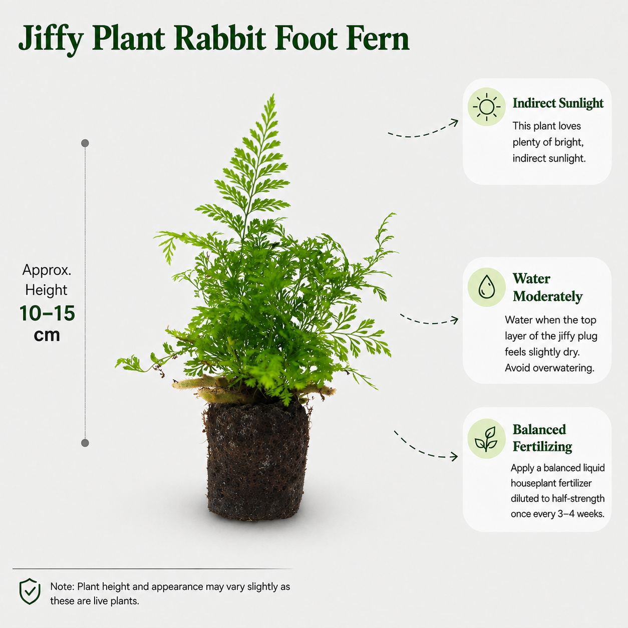 The Plantor