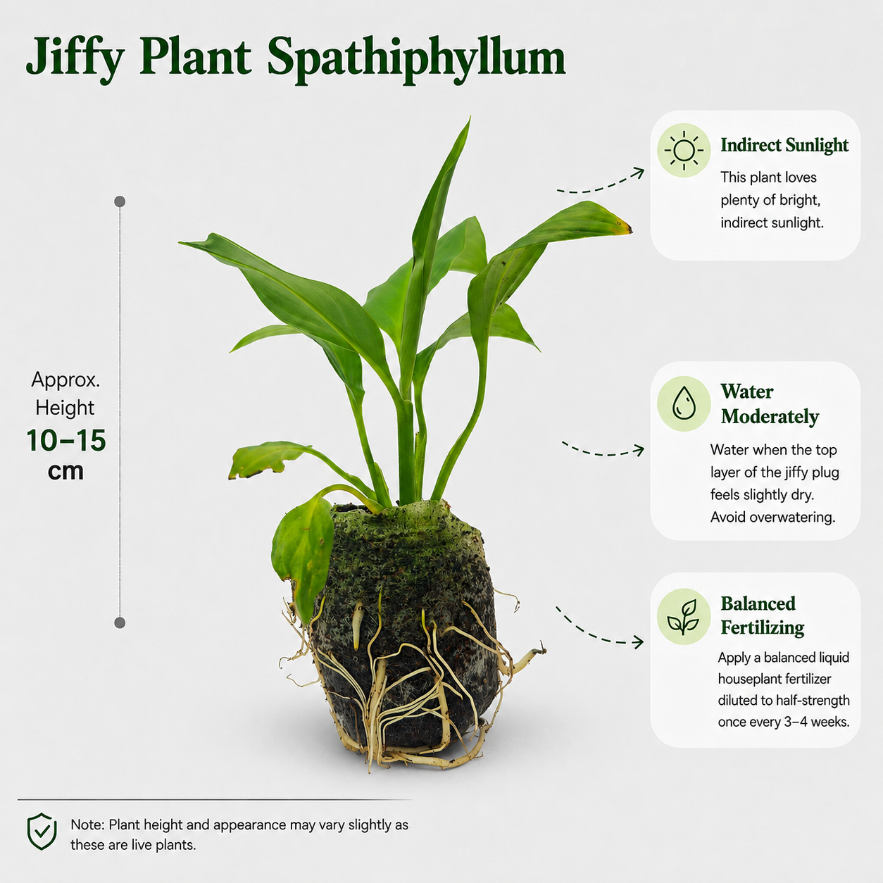The Plantor