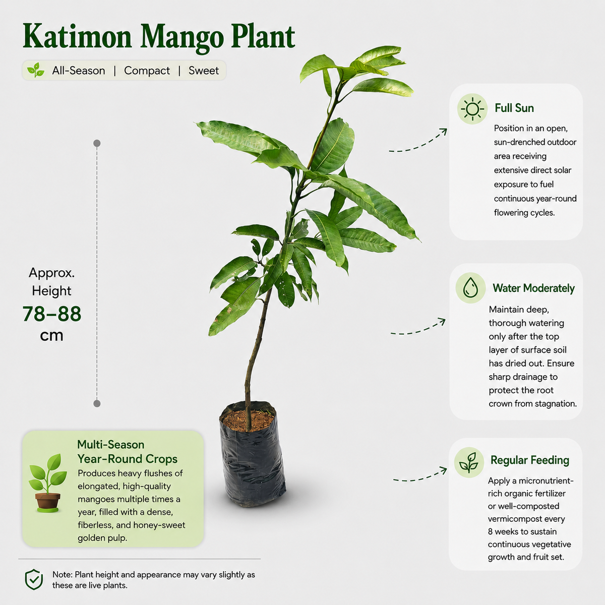 The Plantor
