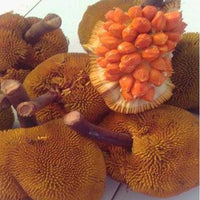 Keledang Fruit - Fruit Plant
