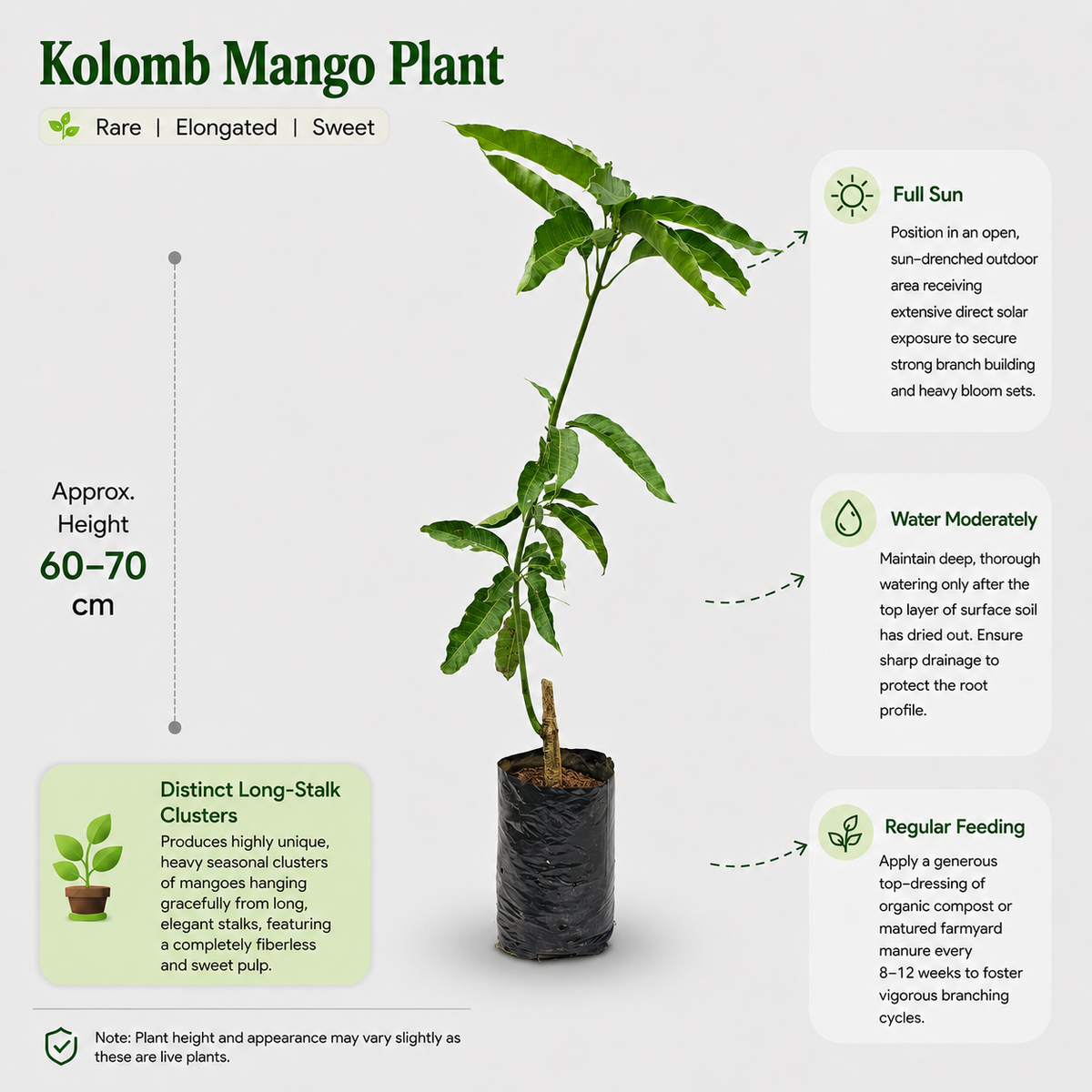The Plantor