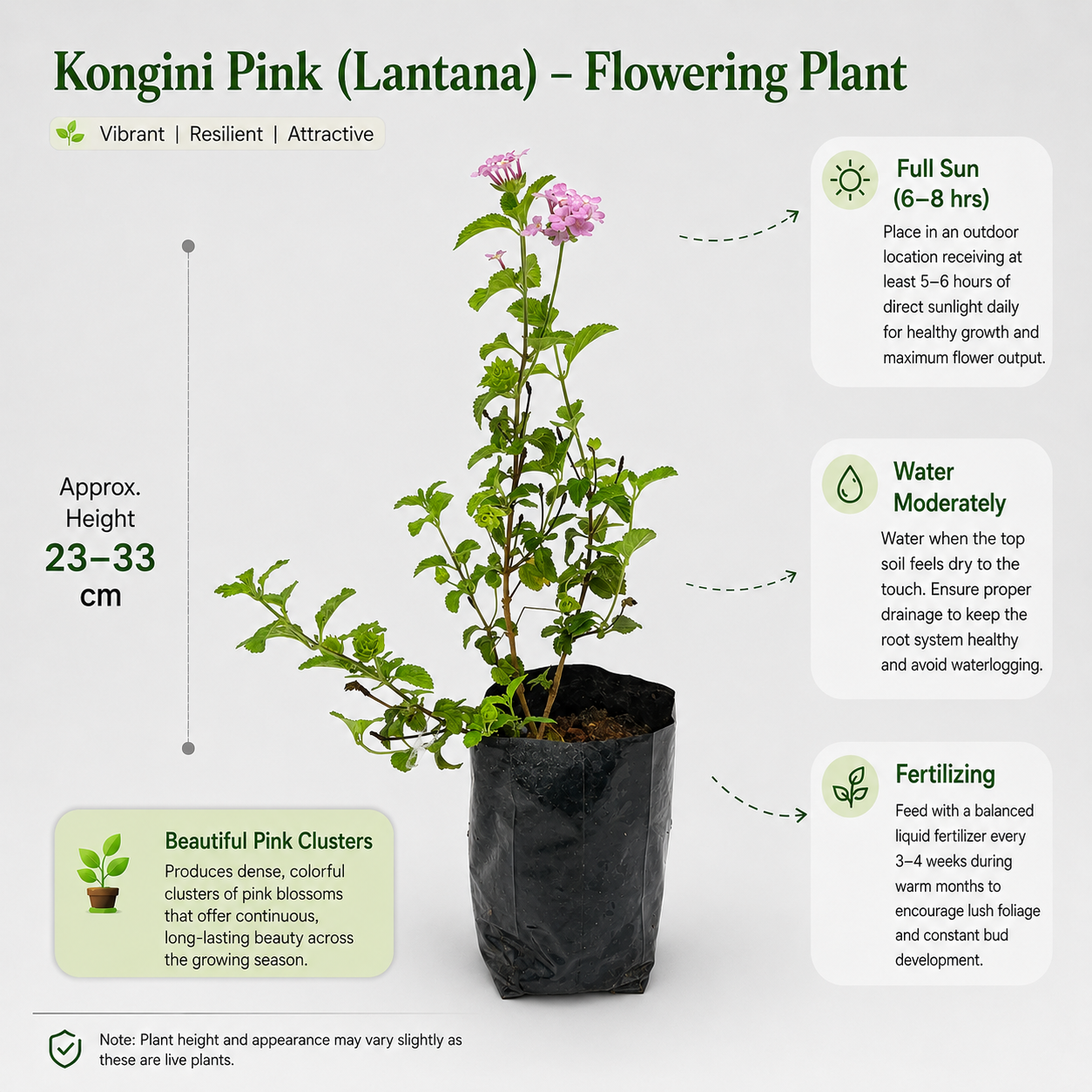 The Plantor