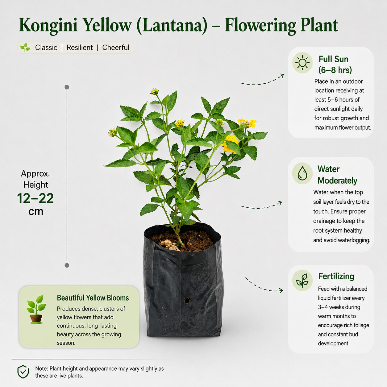 The Plantor