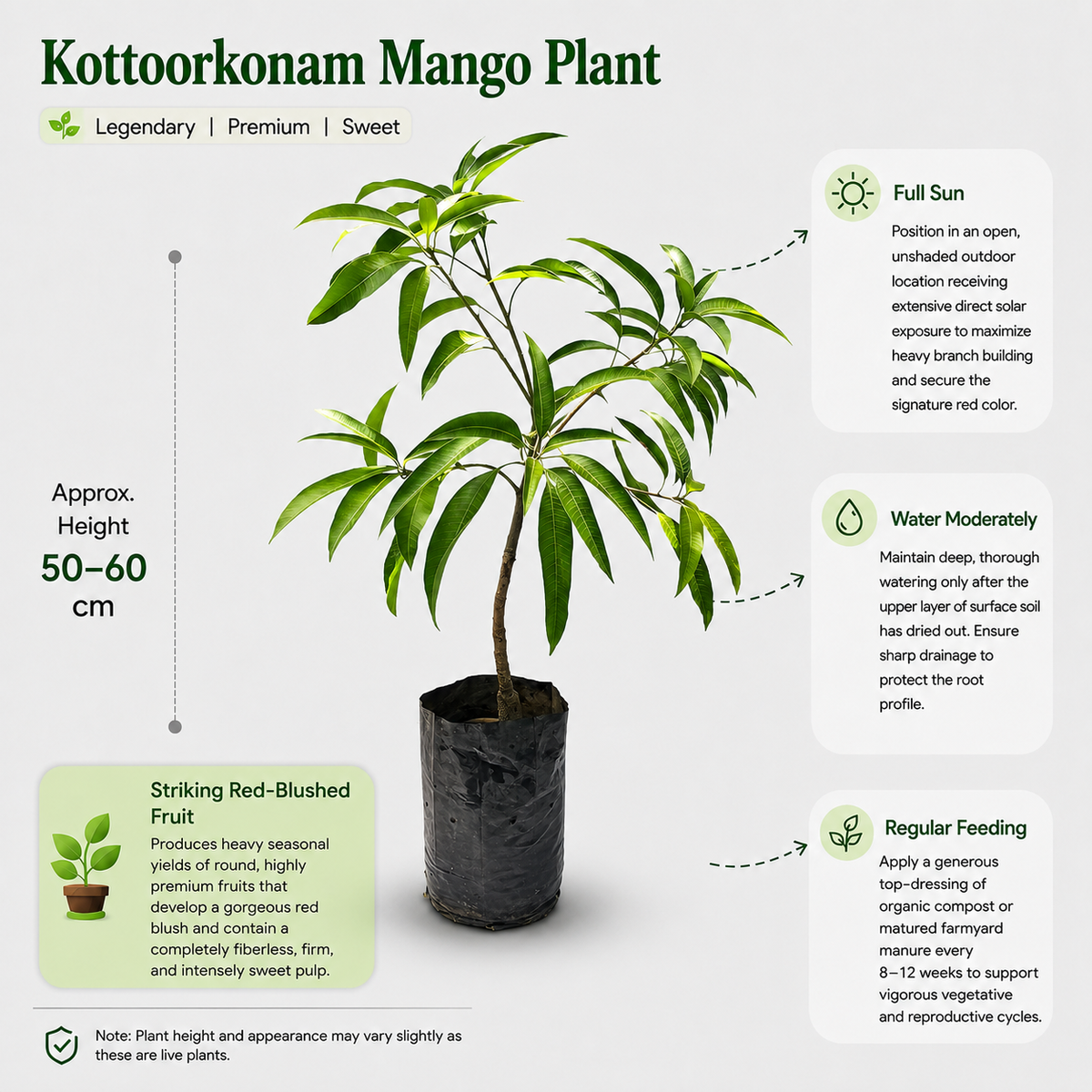 The Plantor