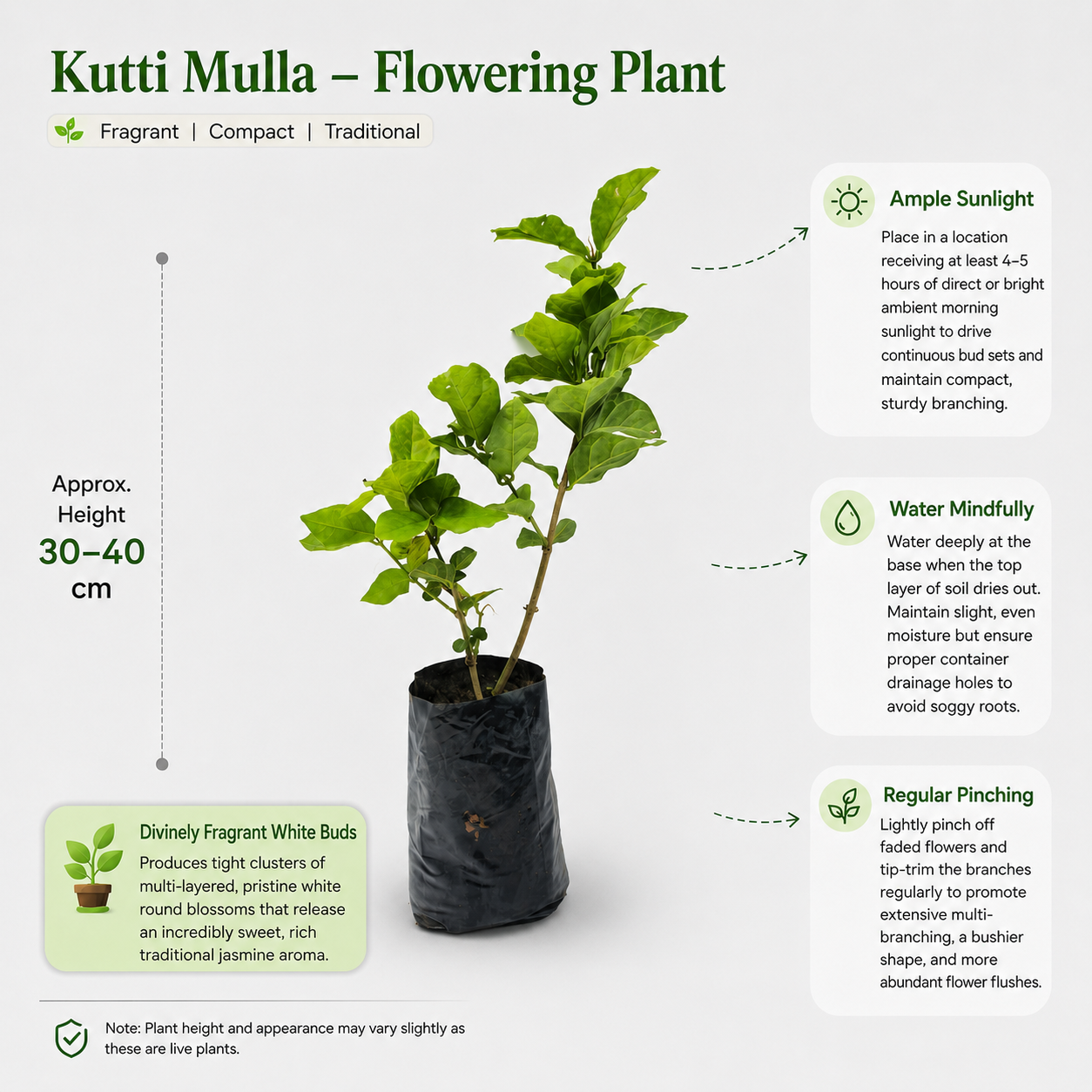The Plantor