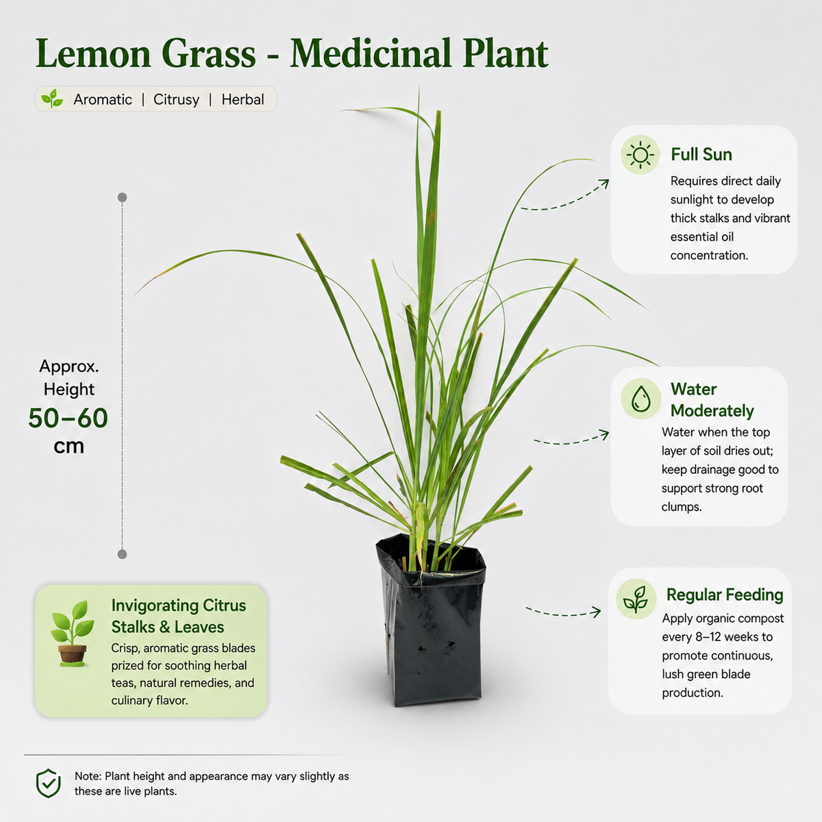 The Plantor