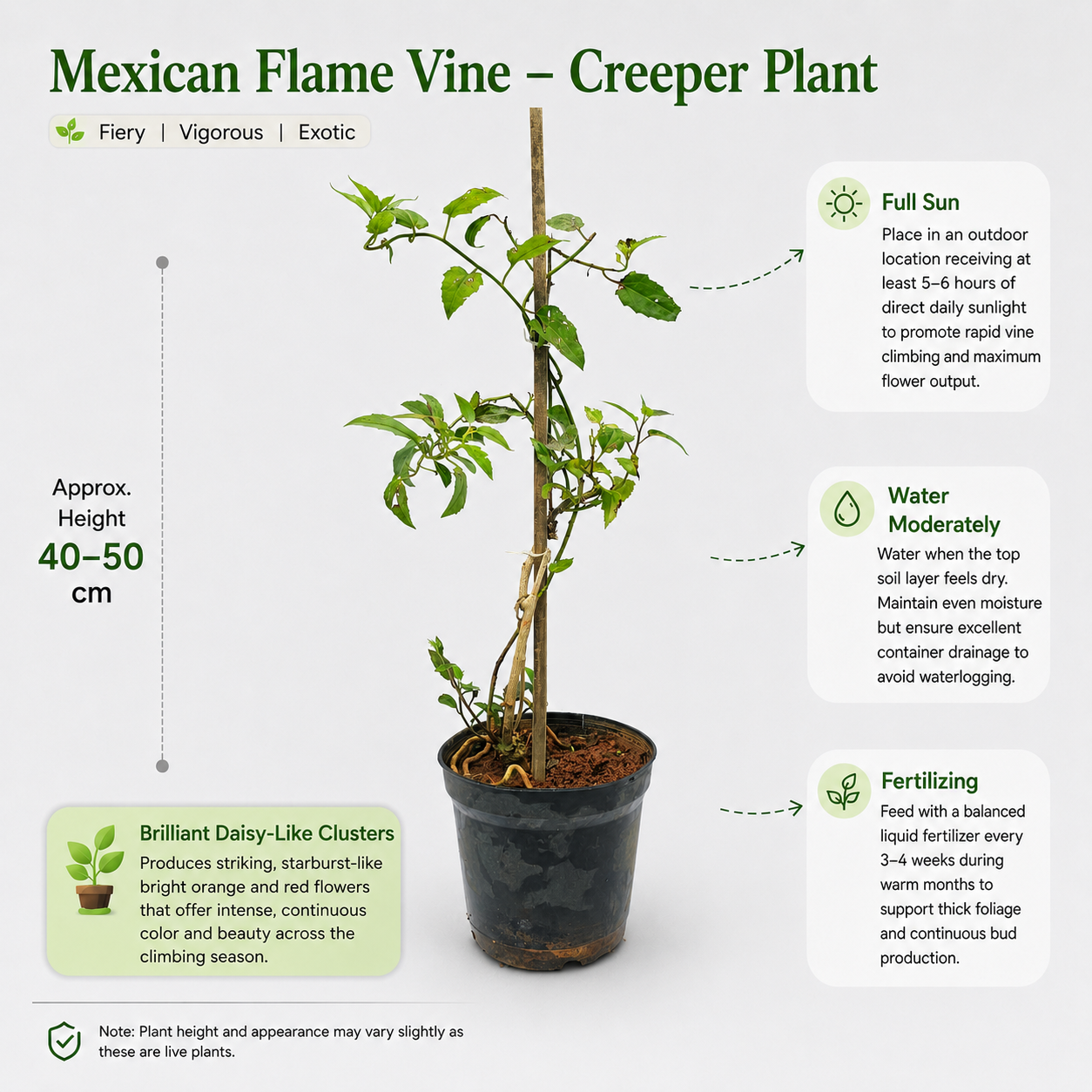 The Plantor