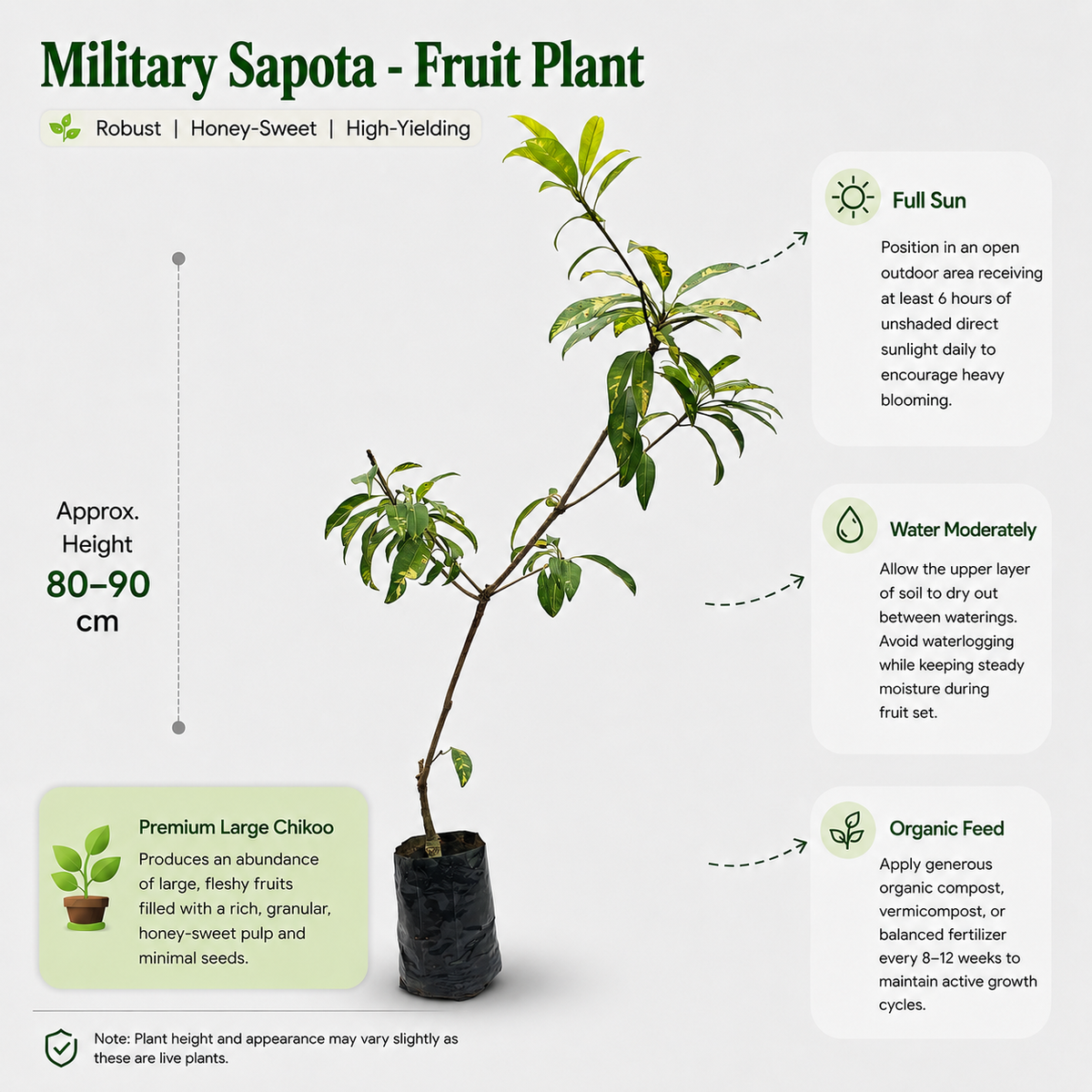 The Plantor
