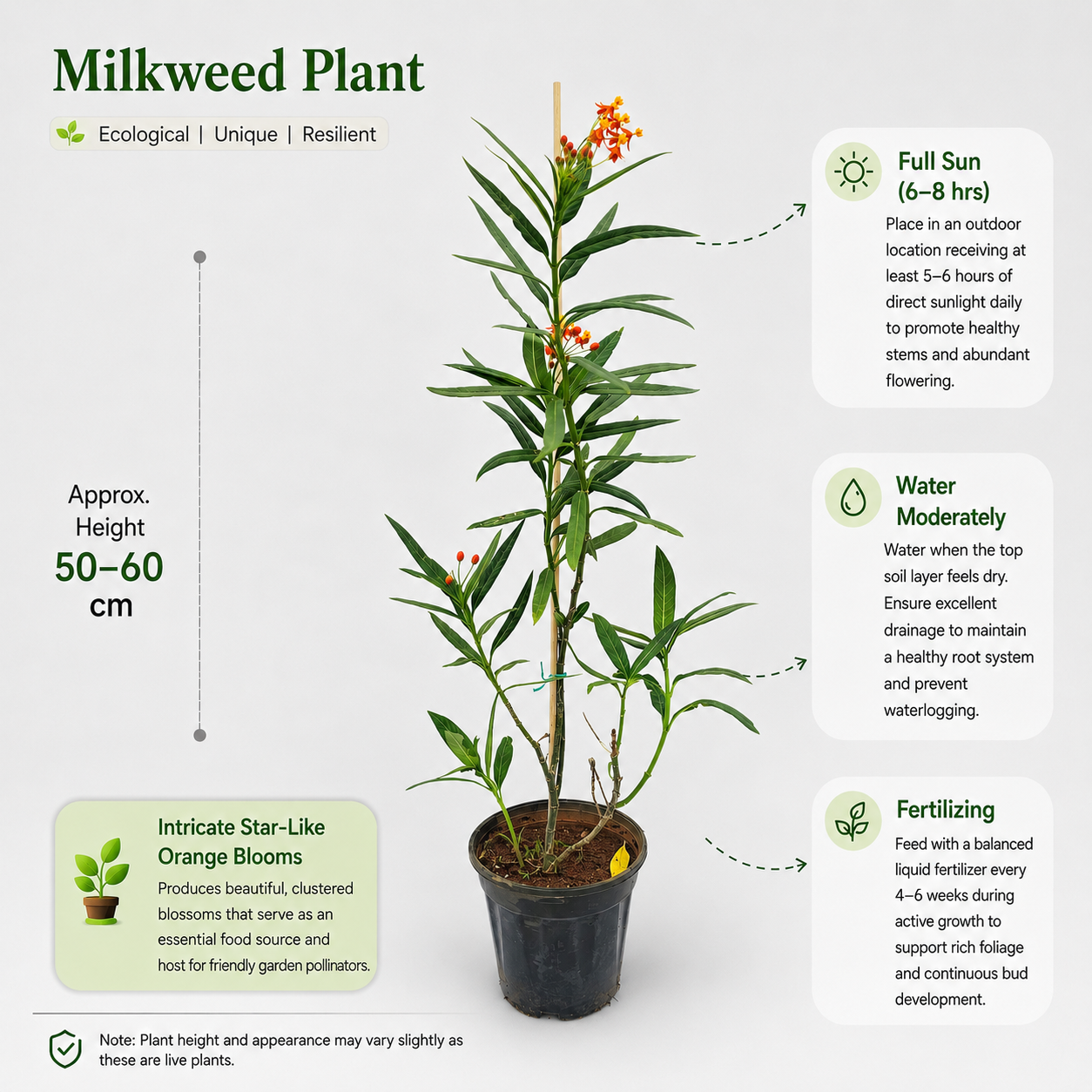 The Plantor
