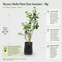 The Plantor