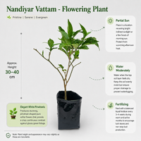 The Plantor