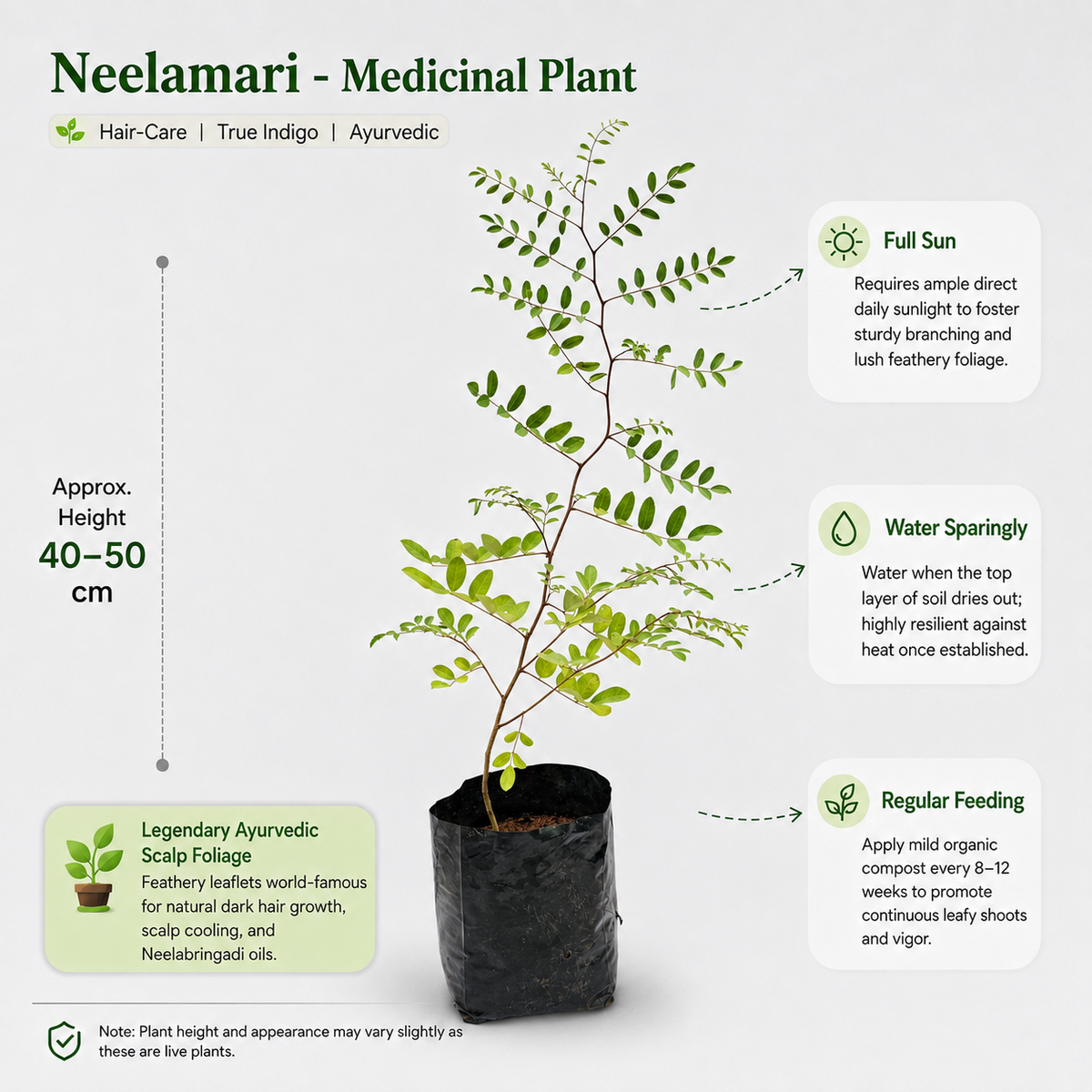 The Plantor