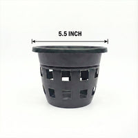 Orchid Pot 5.5 Inch Black/White/Terra