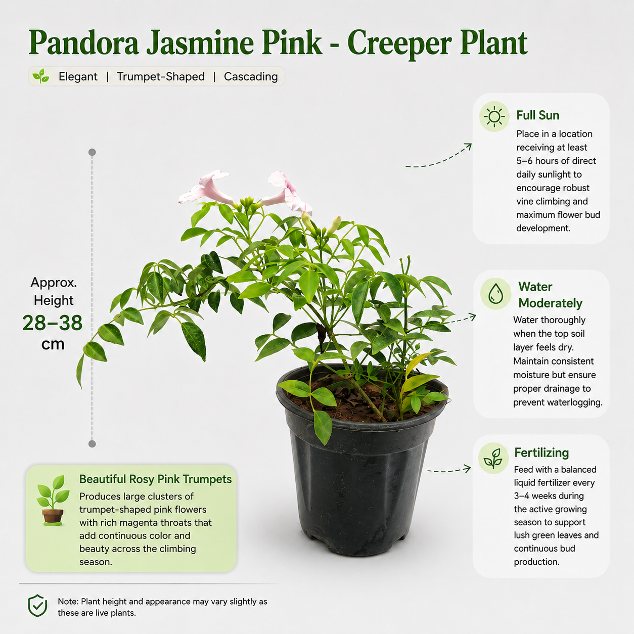 The Plantor