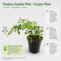 The Plantor