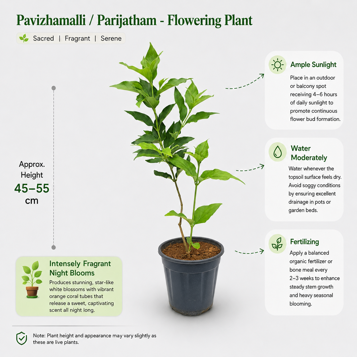 The Plantor