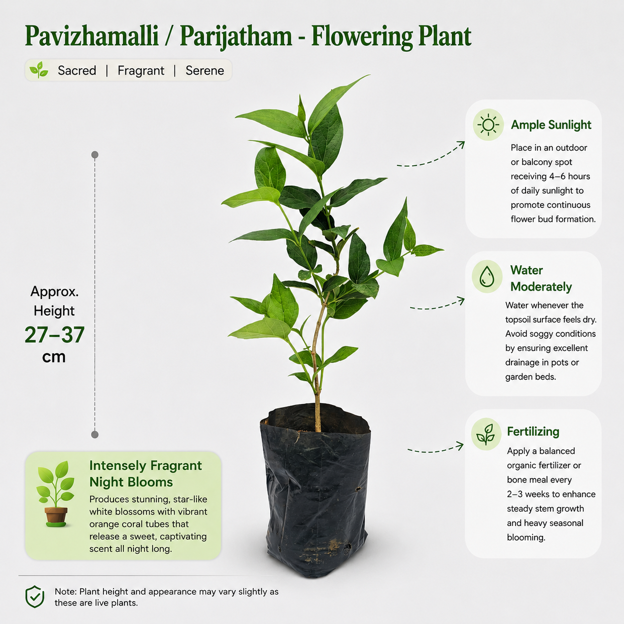 The Plantor