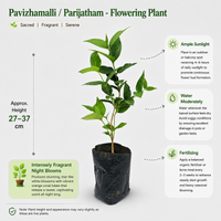The Plantor