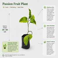 The Plantor