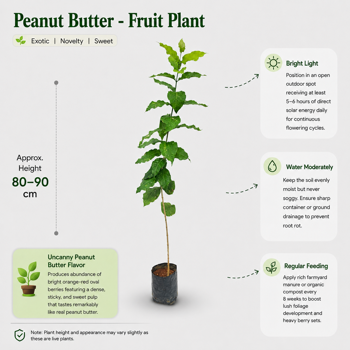 The Plantor