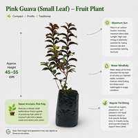 The Plantor