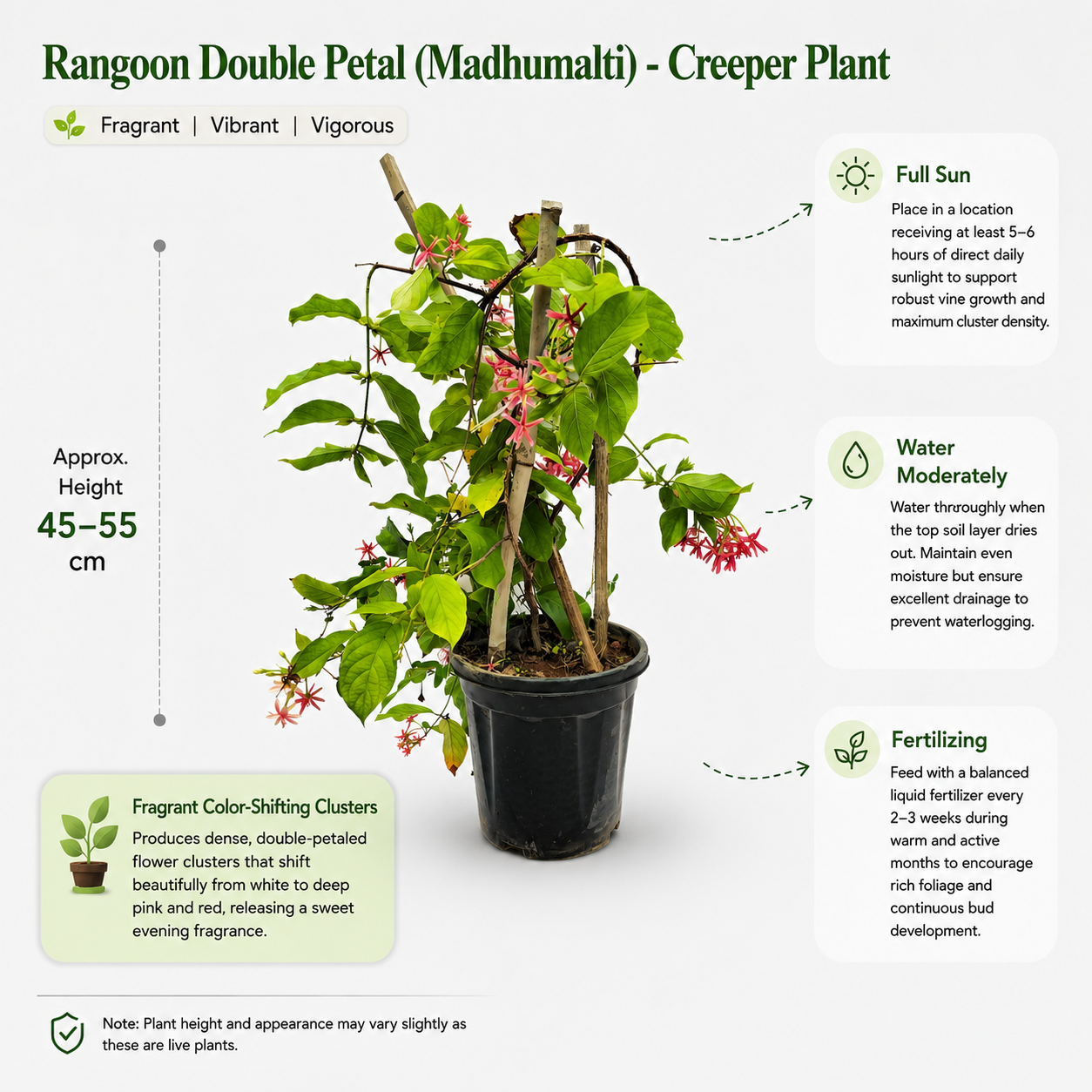 The Plantor