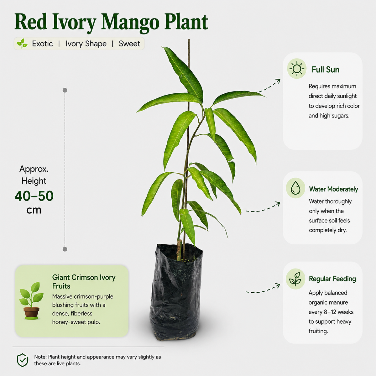 The Plantor