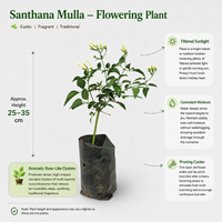 The Plantor