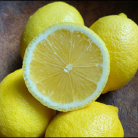 Seedless Lemon - Fruit Plant