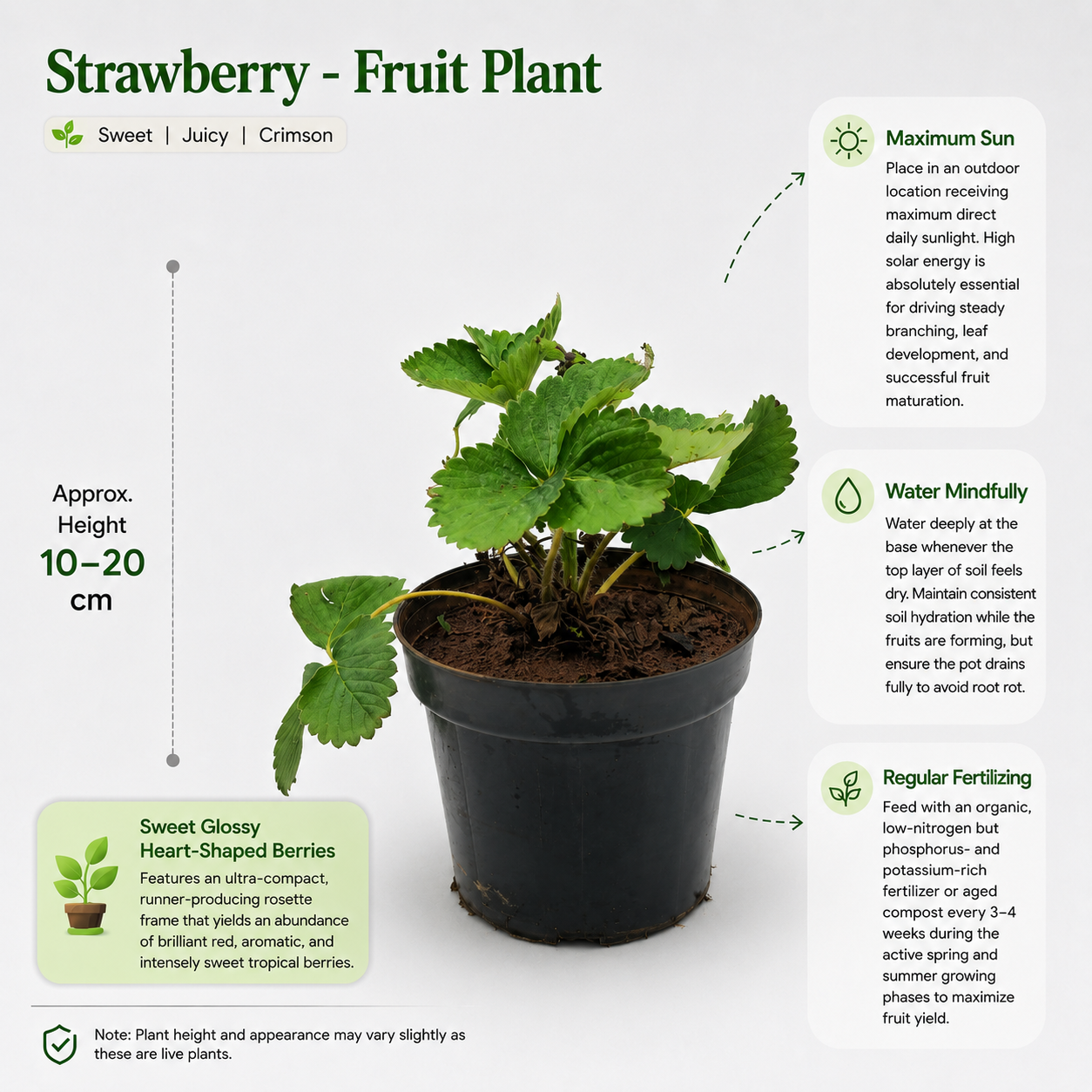The Plantor