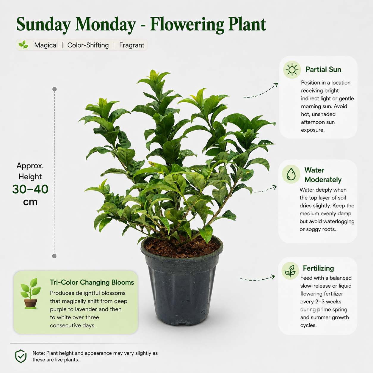 The Plantor