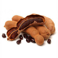 Sweet Tamarind / Madhura Puli / Valanpuli - Fruit Plant
