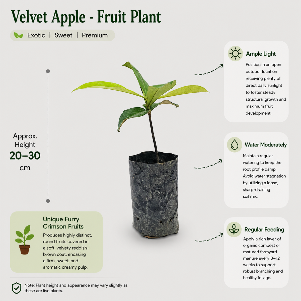 The Plantor