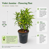 The Plantor
