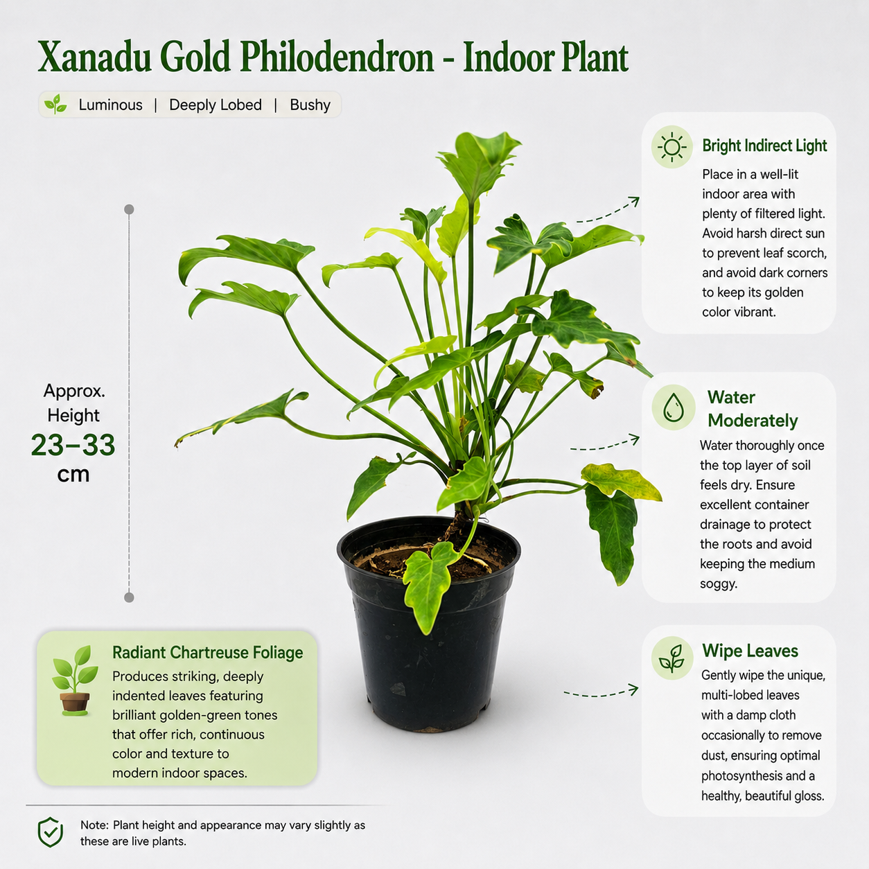 The Plantor